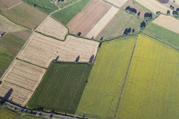 Aerial view of sunflower fields in Bolsena. In Viterbo