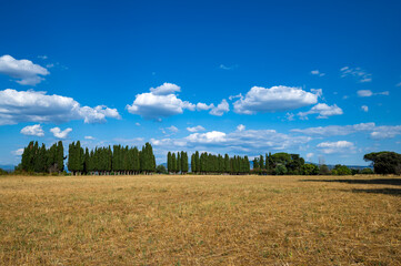 View of the Roman countryside from the Via Appia Antica, Rome, Italy, photographed on a summer day with cypresses yellow meadow on a sunny day with blue sky and clouds. Rome, Italy.