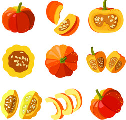 Lots of yellow pumpkins of different sizes and shapes on a white background, top view. Vector realistic drawing.