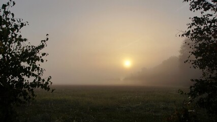 Naklejka premium September sunrise over the meadow, autumn morning, sun and fog