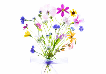 Original light pad photograph of a bouquet of colorful wildflowers backlit on a bright white background