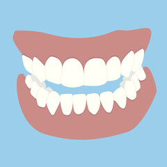 vector illustration on blue background human jaw with teeth
