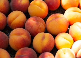 Fresh sweet tasty and juicy peaches fruits on box. Fruit harvest.