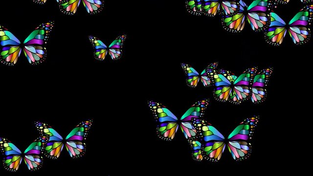 Motyl 029