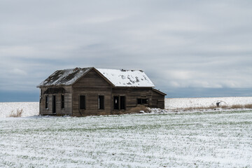 Old House in the Fields, WA