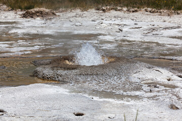 Thermal Splash at Yellowstone National Park