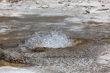 Thermal Splash at Yellowstone National Park