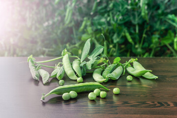 Sweet pods of green peas in the sunlight on a wooden table.
