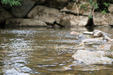 Rivière tranquille