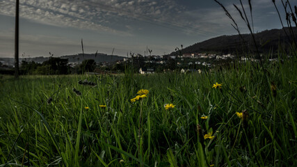 Un campo en pleno verano con una monta&ntilde;a y casas de fondo.