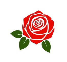 Rose logo.  Isolated rose on white background