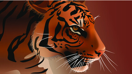 Magnificent concentrated tiger. Wild nature