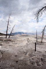 Canary Spring area Yellowstone National Park