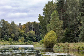 Lake in the autumn forest