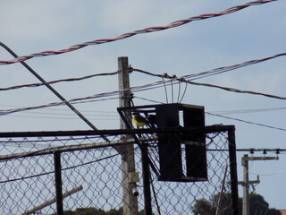barbed wire fence with barbed wire