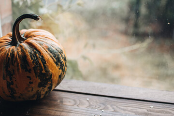 Thanksgiving day. Autumn. Halloween pumpkin on a wooden background, Holiday decoration. Halloween...