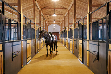 In the stable with horse in a equestrian center - Powered by Adobe