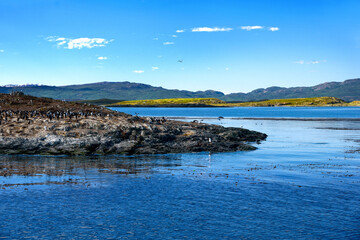 Kormorankolonie im Beagle Kanal nahe Ushuaia.
Feuerland - Argentinien