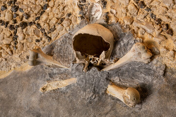 The broken skull and bones of a man on the wall in the Church.