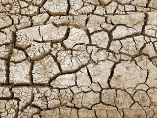 texture of dried cracked surface layer of the earth