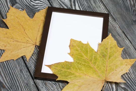 Dried maple leaves and photo frame. With a blank margin for the image. On brushed pine boards painted black and white.