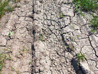 texture of dried cracked surface layer of the earth
