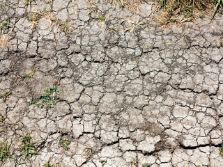 texture of dried cracked surface layer of the earth