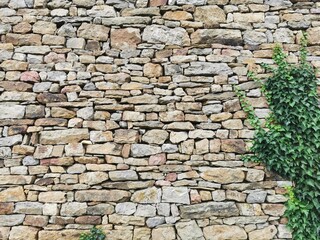 stone wall with green leaves