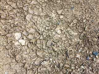 texture of dried cracked surface layer of the earth