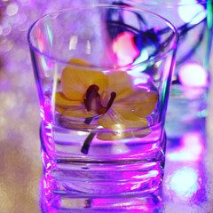 glass of water