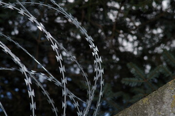 Stacheldraht!