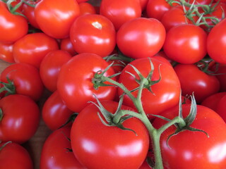 beautiful natural red tomatoes with great flavor delicious natural