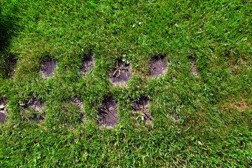 a path made of round pieces of wooden logs in the middle of a green summer lawn made of grass