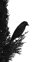 pájaro posado en un árbol