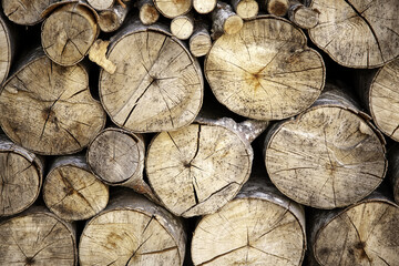 Felled wooden logs