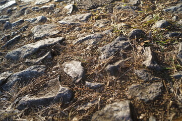 uma estrada de pedra em um local rural