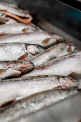 Fresh fish in ice on the market close-up. Selective focus.