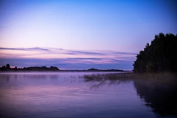 Foto op Canvas fog on the lake through green reeds at sunrise © константин константи