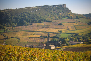 vignoble en automne près de la Roche de Solutré en Saône et Loire