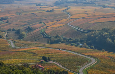 Naklejka premium vignoble en automne près de la Roche de Solutré en Saône et Loire
