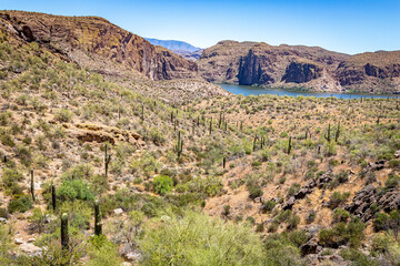 Apache Trail Scenic Drive View
