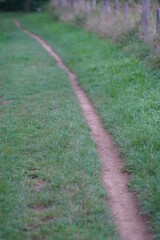 Pfad durch eine Wise