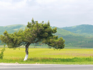 Beautiful landscape of the Caucasian mountains in a sunny spring day. Krasnodar Territory, Russia.