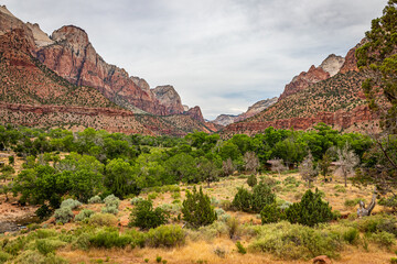 Watchman Trail View Zion National Park