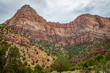 Watchman Trail View Zion National Park