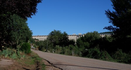Embalse detrás de árboles con cielo azul