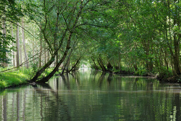 Marais poitevin