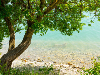 Fototapeta premium Abrau-Durso - May 5, 2018: Beautiful authentic landscape of the mountain lake Abrau on a sunny day. Krasnodar Region, Russia