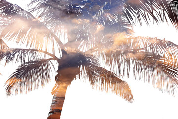 palms shapes - sunset sky with dark clouds close up - texture
