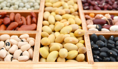 The ranks of different beans: kidney, roman, black eye,edamame, adzuki View from above in wooden box